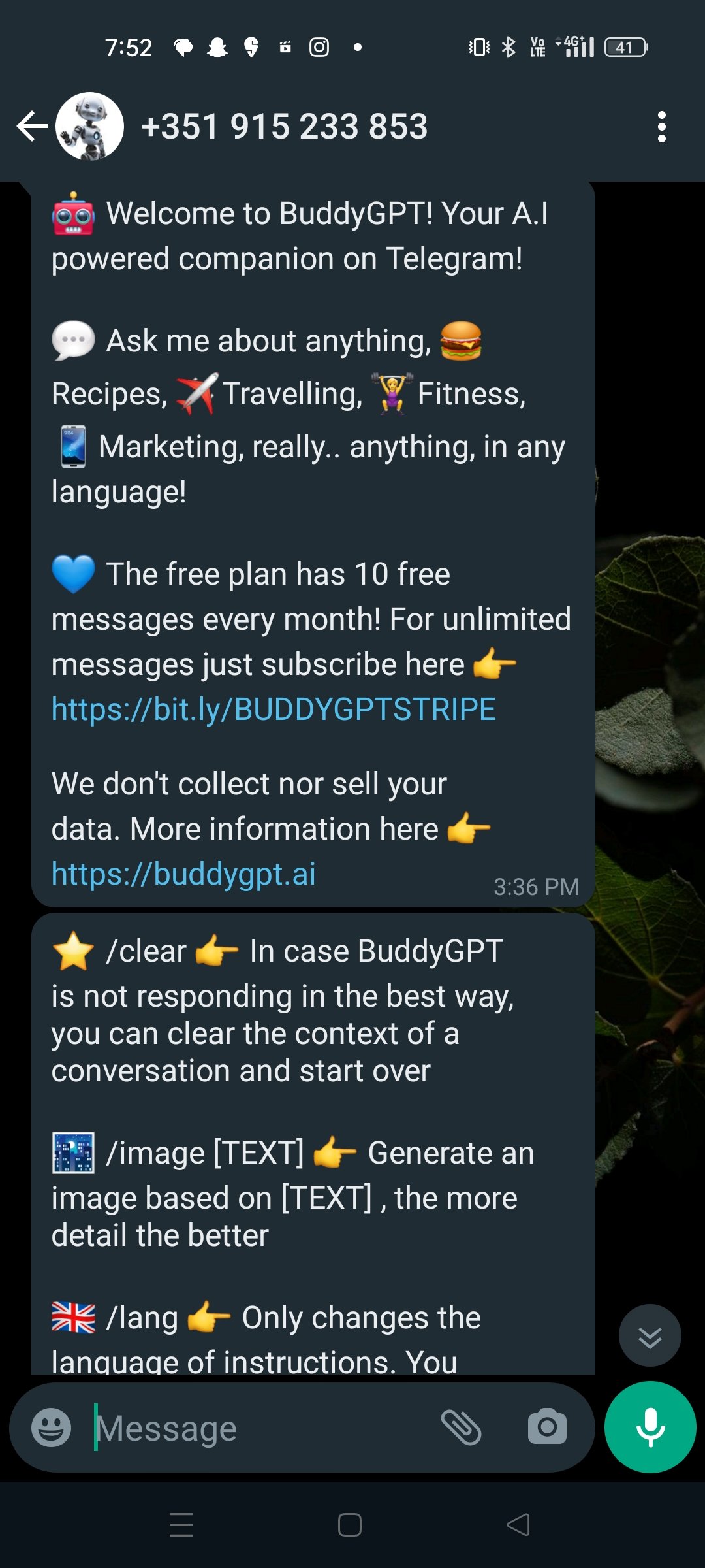 You will receive a few notifications from ChatGPT describing its commands and restrictions. 