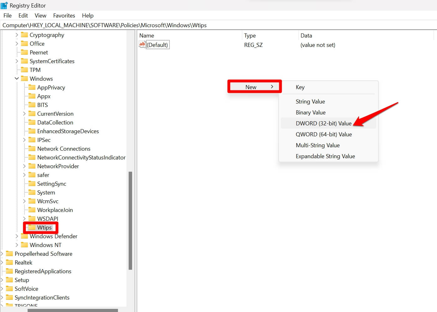 create new DWORD value for WTips subkey