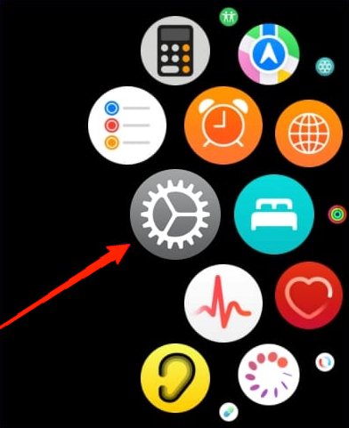 First, open the settings app on your Apple watch.