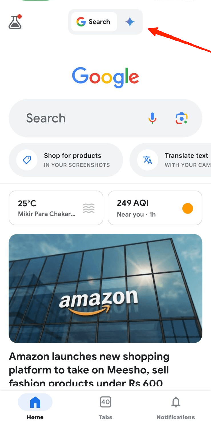 Tap on the Gemini Tab and it will take you to a page like this.