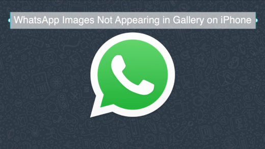 WhatsApp Images Not Appearing in Gallery on iPhone